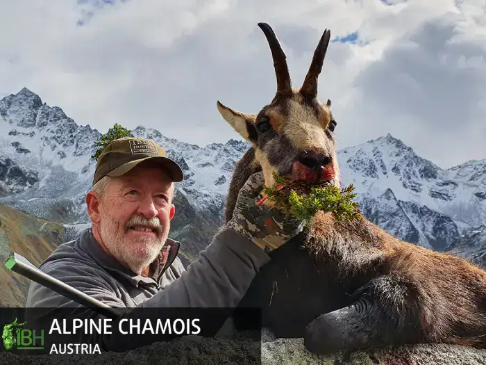 Alpine-chamois (1)