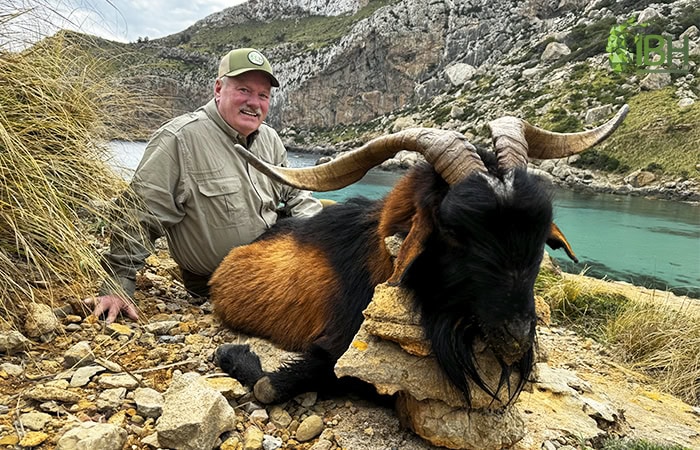 Balearean-Boc-Hunt_IberHunting_Greg
