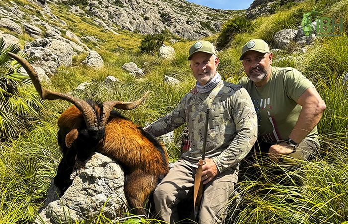 Balearean-Boc-hunt-in-spain_IberHunting_Jeff