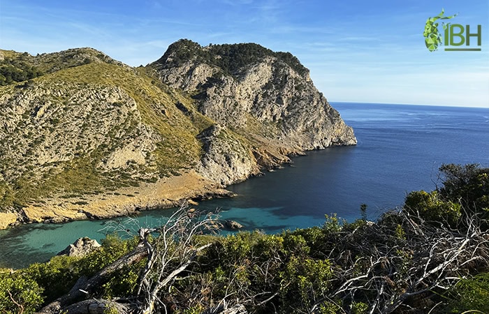 Balearean-Boc-hunt-in-spain_IberHunting_landscape