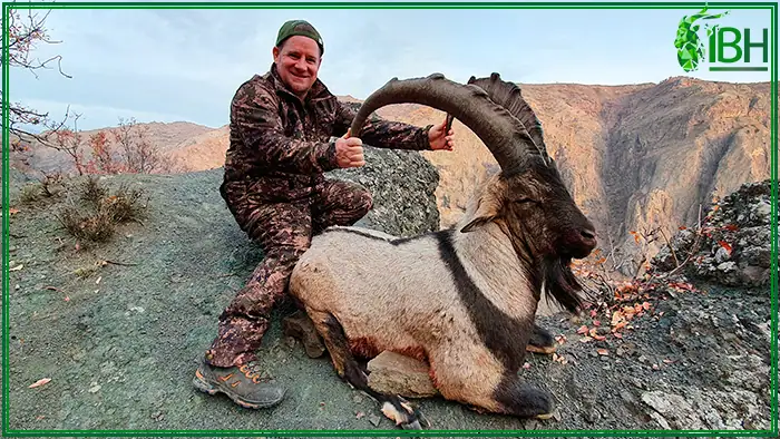 Bezoar-ibex-hunt-in-Turkey