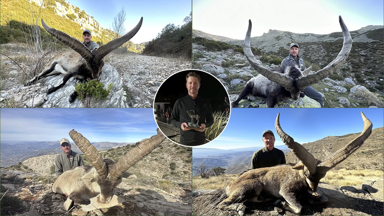 Briard_Spanish-Ibex-Grand-Slam_IberHunting