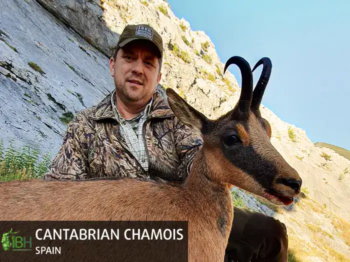 CANTABRIAN-CHAMOIS