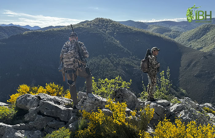 Cantabrian-Chamois-hunting-area_iberhunting