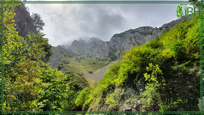 Cantabrian-chamois-hunting-area