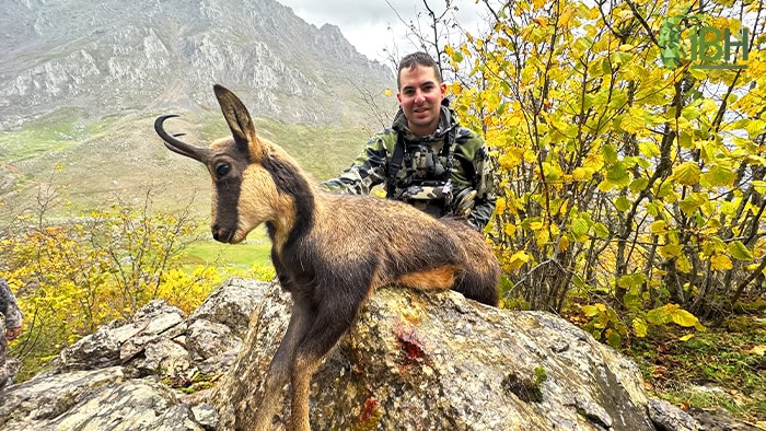 Cantabrian-chamois-hunting-trophy-Sergio