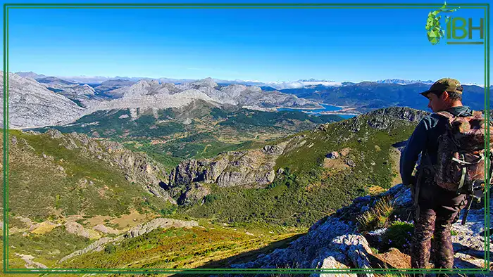 Cantabrian-chamois-landscape