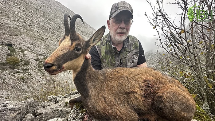 CantabrianChamois_Iberhunting