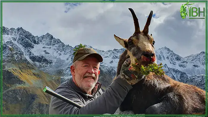 Chamois-in-Austria