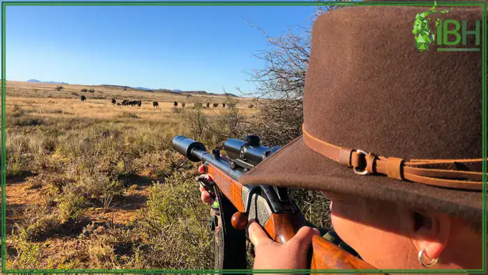 Charlotte-shooting-buffalo-in-South-Africa