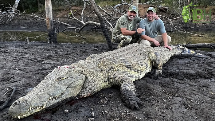 Crocodile-hunt-south-africa-iberhunting