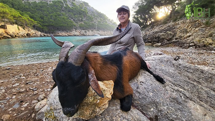 Feral-Goat-Deb