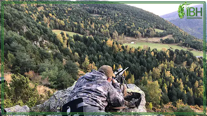 Hunter-shooting-for-roe-deer