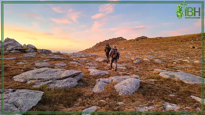 Hunters-looking-for-Pyrenean-chamois-in-Spain