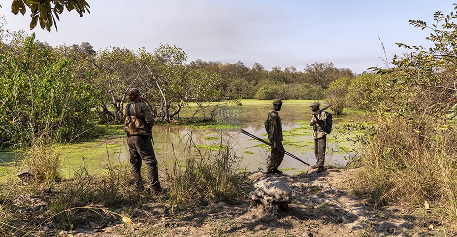 Hunters-looking-for-animals