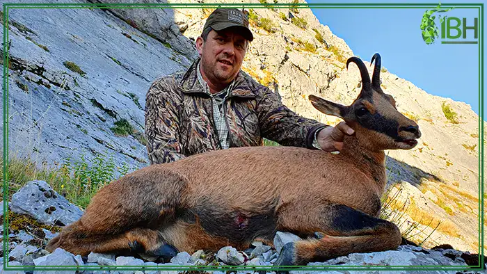 Hunting-Cantabrian-chamois-in-Spain