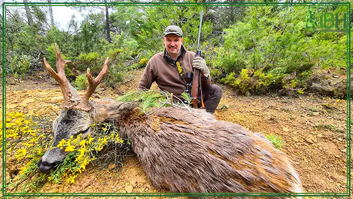 Hunting-Roe-deer-in-Spain