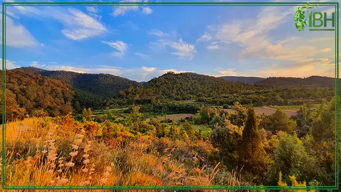Hunting-area-for-Roe-Deer