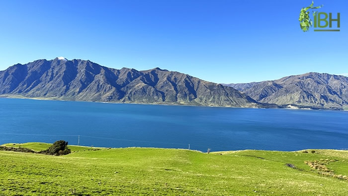 Hunting-in-New-Zealand-landscape-iberhunting1