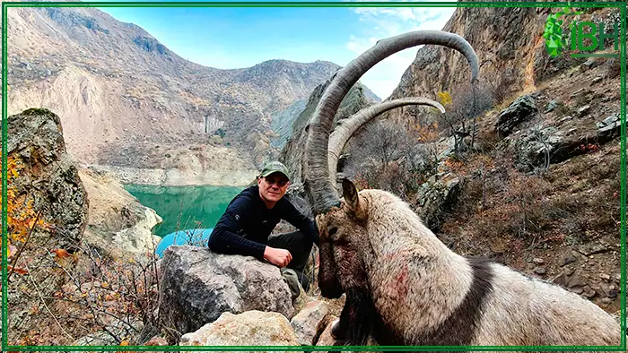 Hunting-in-Turkey-Bezoar-ibex