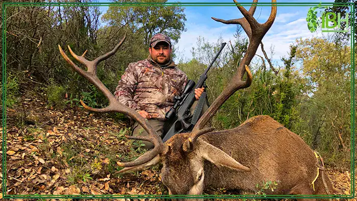 Hunting-spanish-red-stag-deer