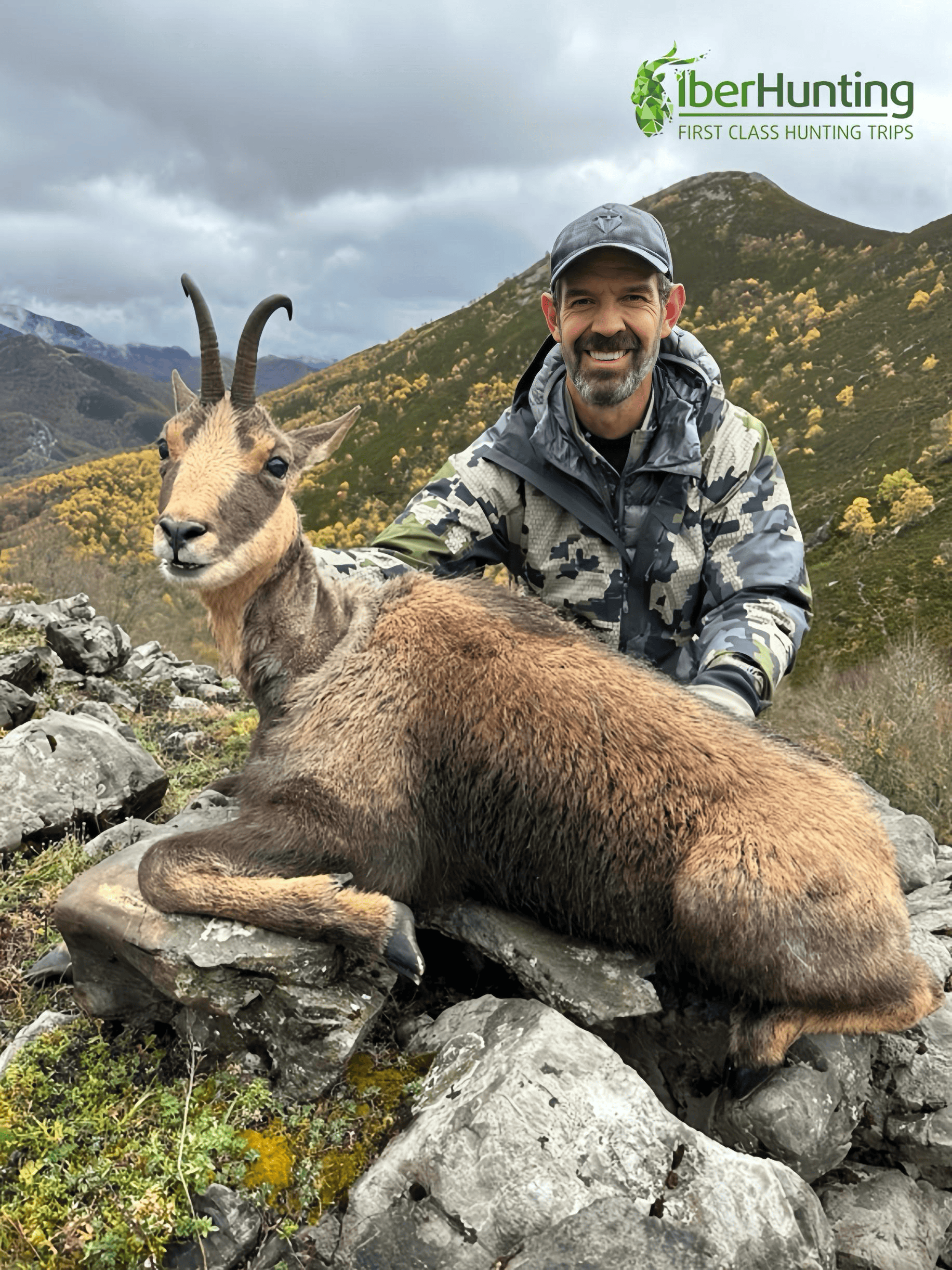 Cantabrian chamois