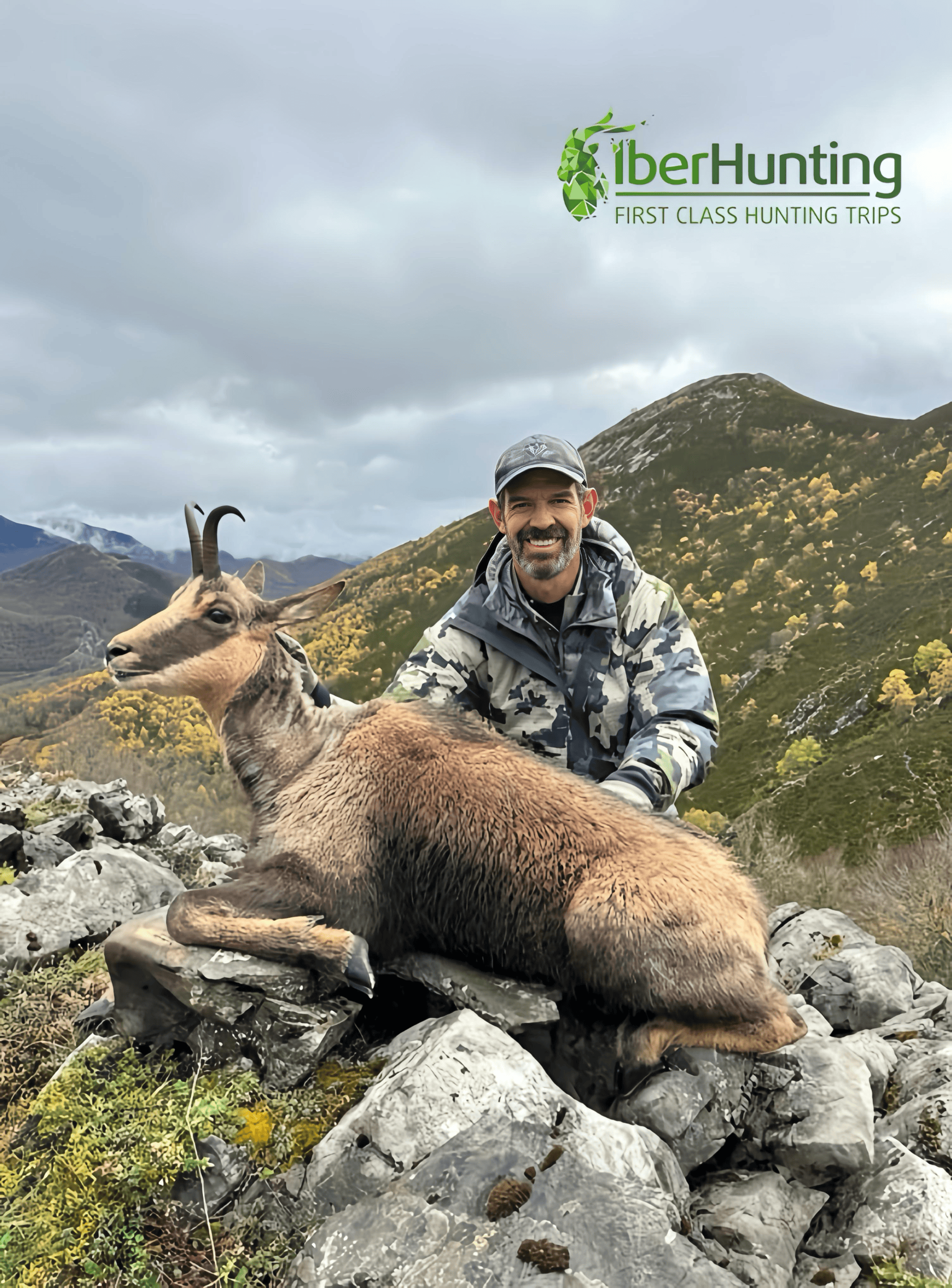 Cantabrian chamois