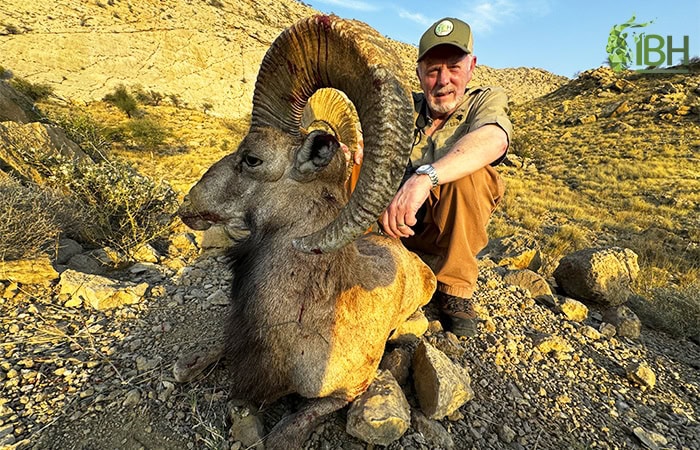 Jerry-Blandford-Urial-hunt-iberhunting-1