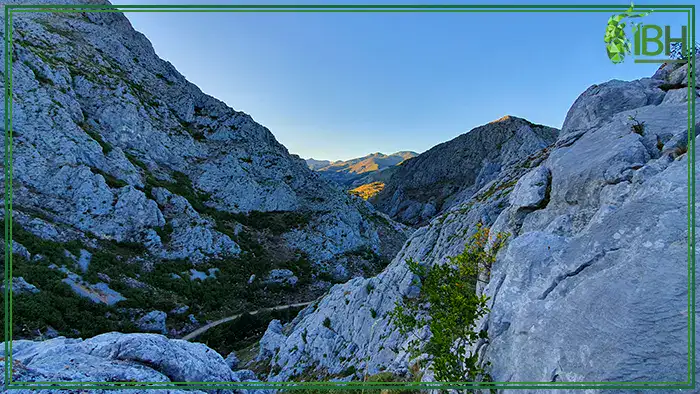 Landscape-For-Cantabrian-Chamois