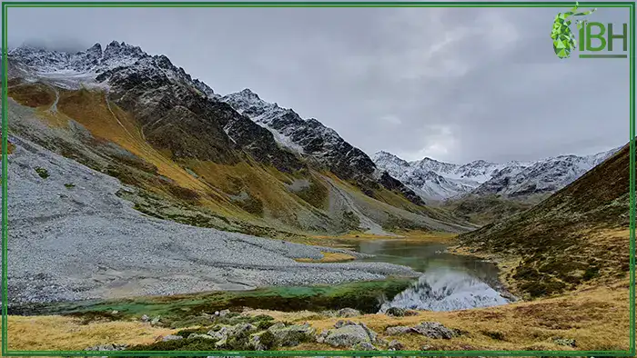 Landscape-in-Austria-for-Carpathian-Chamois