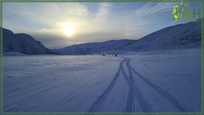 Landscape-of-hunting-area-muskox (1)
