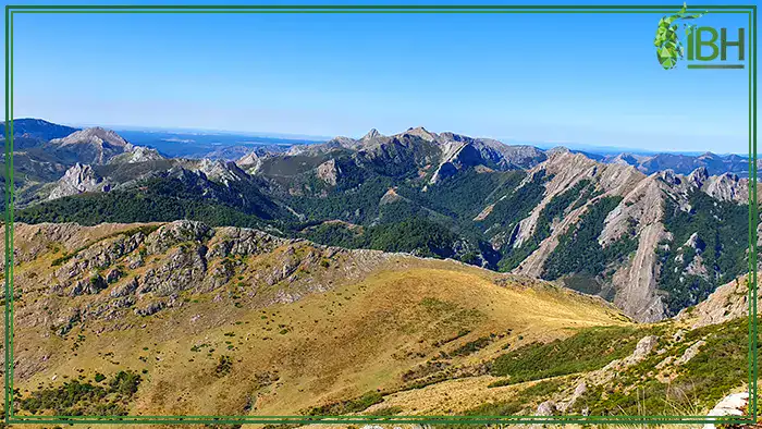 Mountains-views-of-Cantabrian-chamois-in-Spain