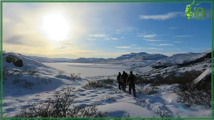 On-the-way-for-hunting-muskox-in-Greenland (1)