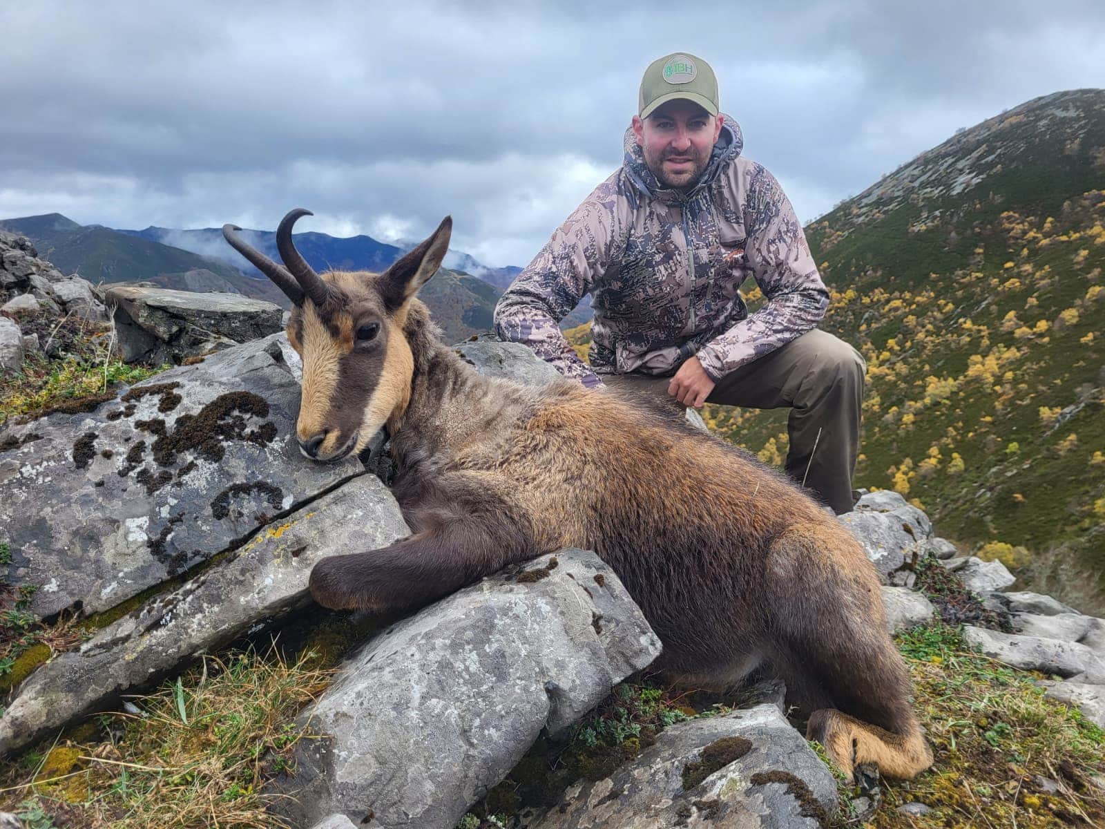 Cantabrian chamois