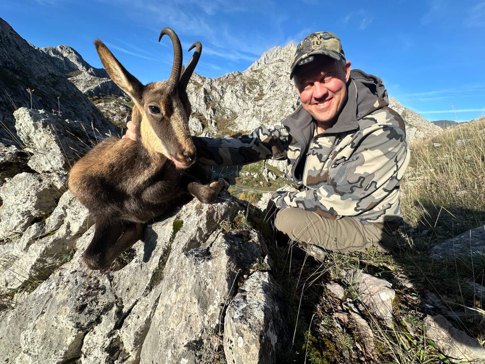 Cantabrian chamois