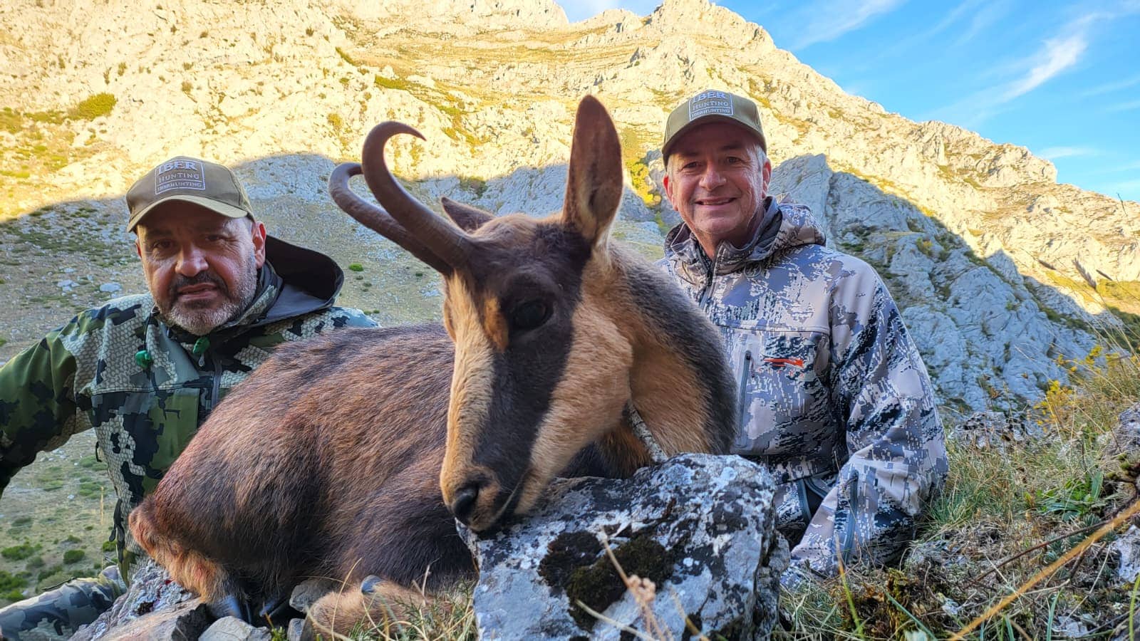 Cantabrian chamois