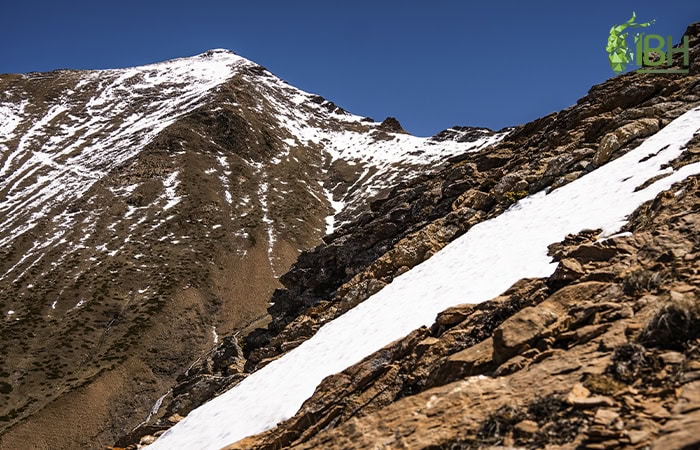 Pyrenean-Chamois-hunt-in-Spain_iberhunting_nick-hoffmann_3