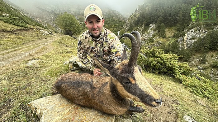 Pyrenean-Chamois-iberhunting-trophy