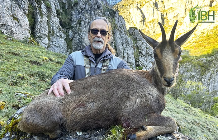 Pyrenean-chamois-hunt_IberHunting_Curtis