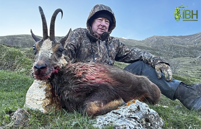 Pyrenean-chamois-hunt_IberHunting_Dol