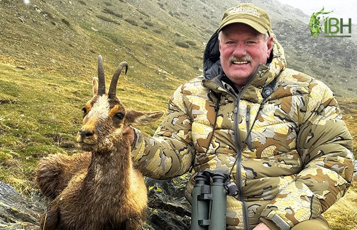 Pyrenean-chamois-hunt_IberHunting_Greg