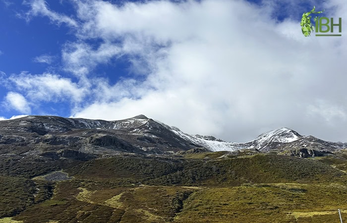 Pyrenean-chamois-hunt_IberHunting_landscaspe