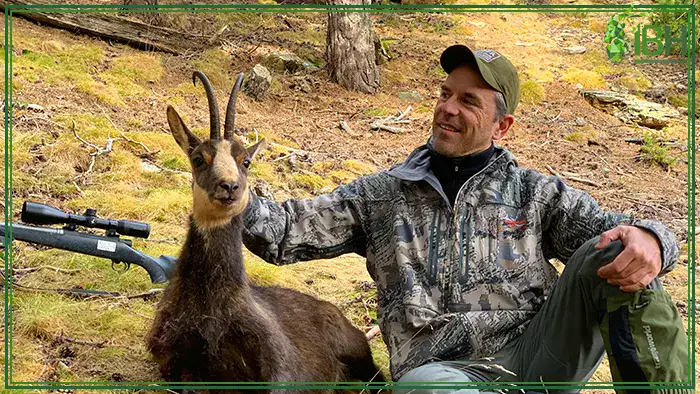 Pyrenean-chamois-hunting-trophy