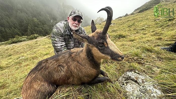 Pyrenean-chamois-iberhunting-trophy-2