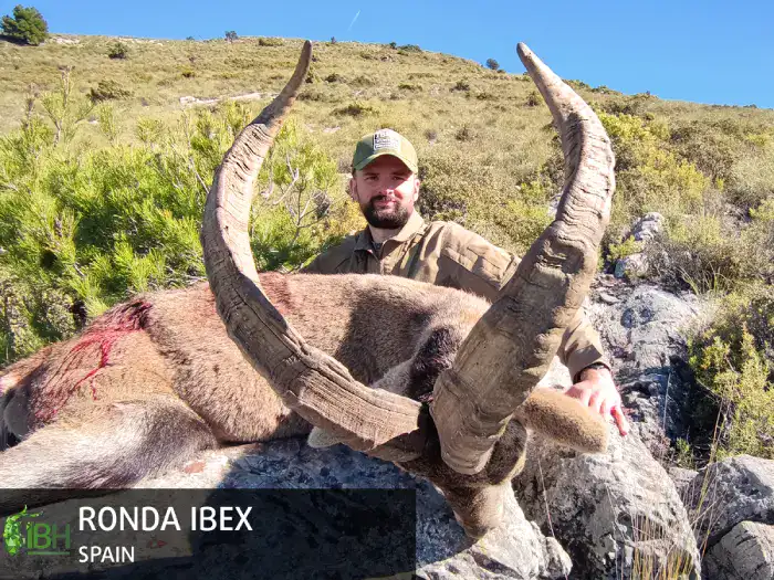 RONDA-IBEX