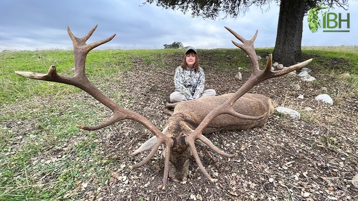 Red-Deer-hunting-trophy-Deb