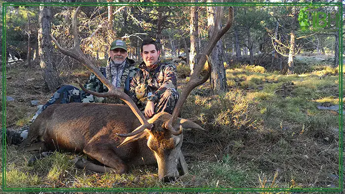 Red-Deer-hunting-trophy