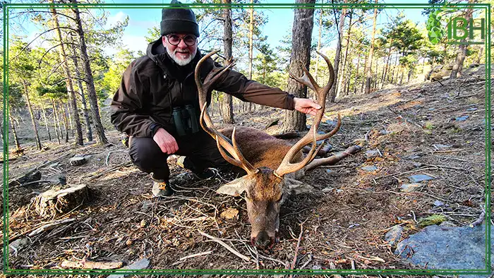 Red-deer-trophy-hunt