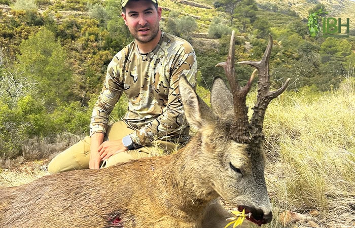 Roe-Deer-hunt-spain_IberHunting