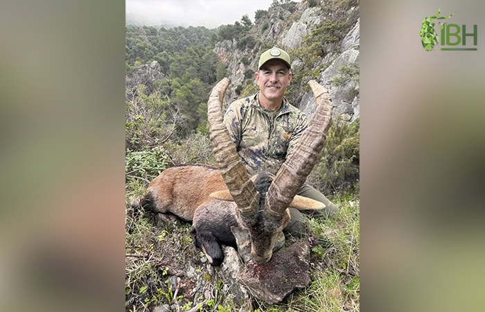 Ronda-ibex-hunt-spain_iberhunting